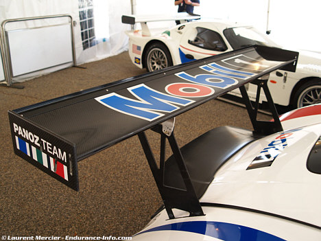 (Foto: Laurent Mercier, www.endurance-info.com)